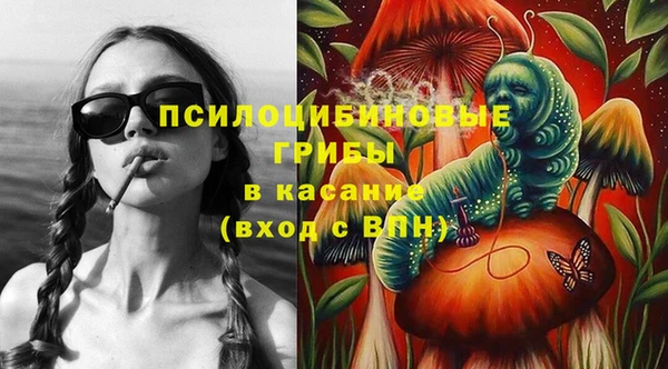 ешки Алексеевка