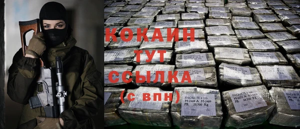 spice Алексин