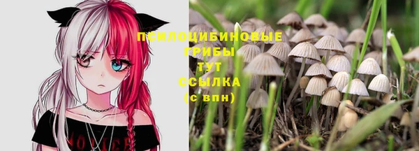 ешки Алексеевка