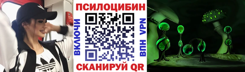 Галлюциногенные грибы прущие грибы  купить  сайты  Рубцовск 