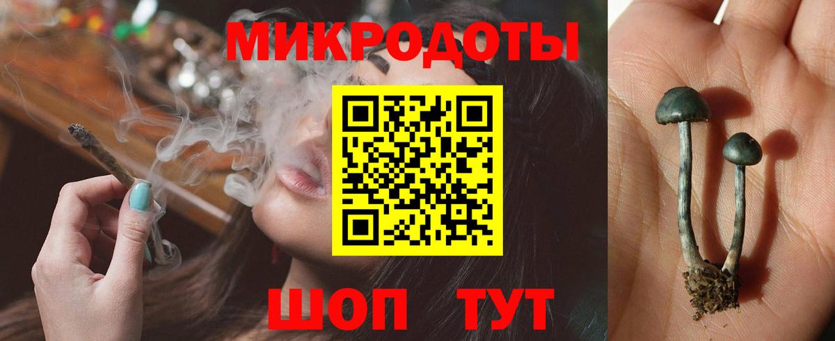 Галлюциногенные грибы прущие грибы Рубцовск